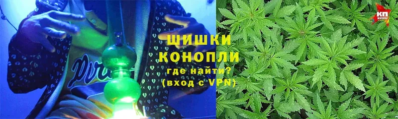 ссылка на мегу ссылки  Ардон  Бошки Шишки Amnesia  shop Telegram  купить закладку 